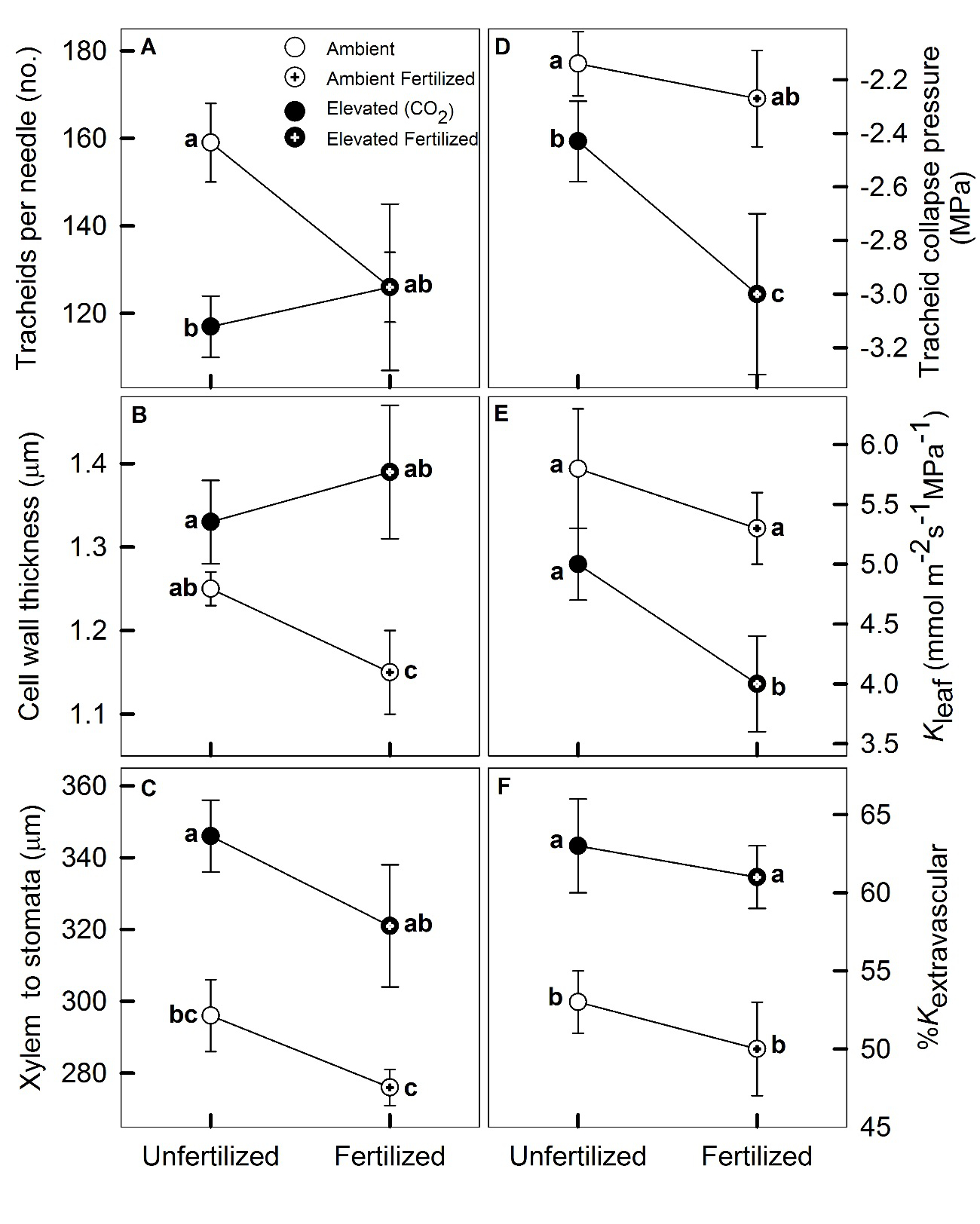 Effects of Pinus taeda leaf anatomy on vascular and extravascular leaf